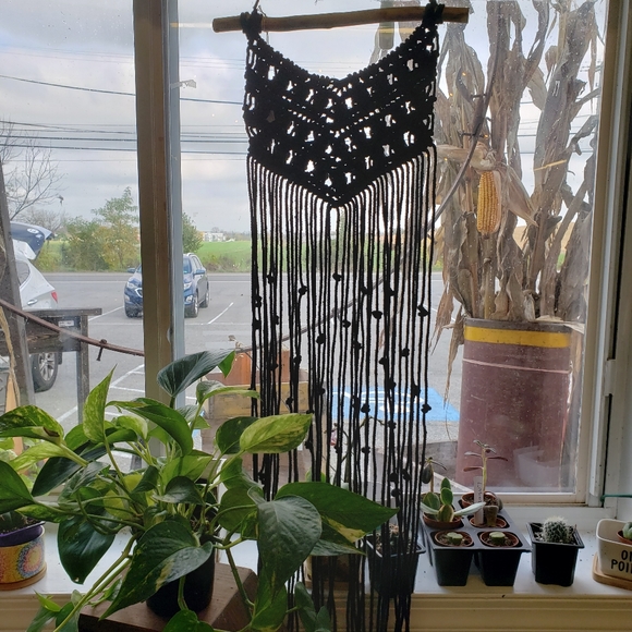 Meet your Posher, Robin - Picture 6 of 10